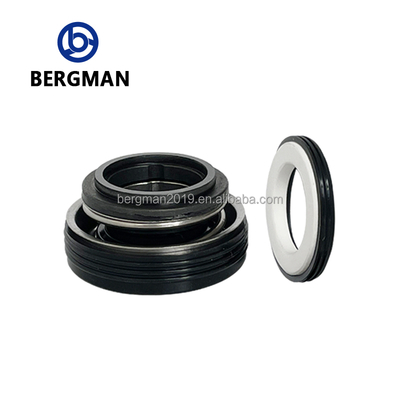 Sello mecánico de la serie BERGMAN FT de 12-30 mm para bombas rotativas